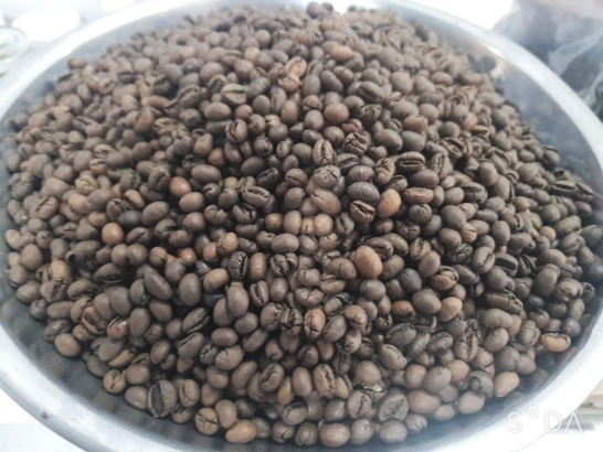 Cà phê Culi - Robusta thượng hạng